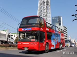 東京天空觀光巴士一日乘車券