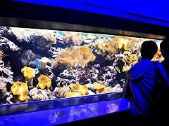 夜宿屏東國立海洋生物博物館-屏東國立海洋生物博物館